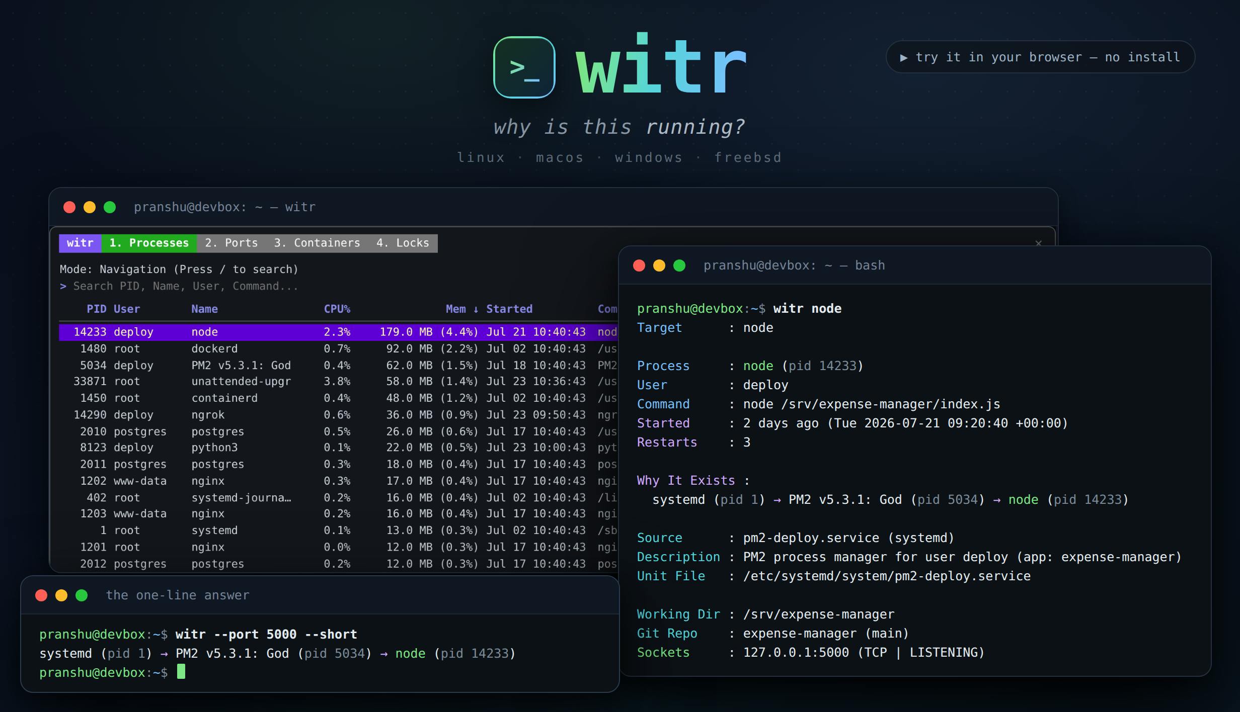 witr:追踪进程、端口、容器或文件的运行原因