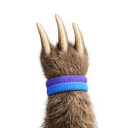 Pawvis