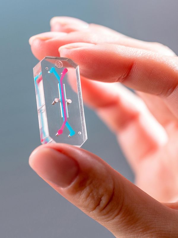 替代动物实验的技术已接近成熟,但科学家们还没准备好
