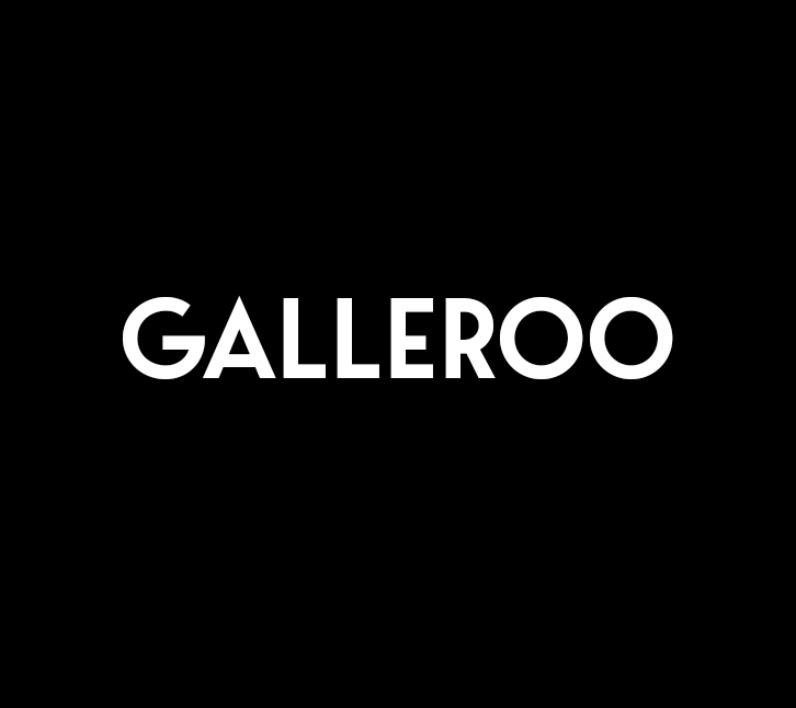 Galleroo:将 Google Drive 变身精美客户画廊