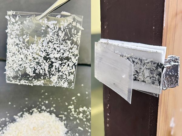 大蒜皮变身自供电传感器,低成本家庭安防迎来新方案
