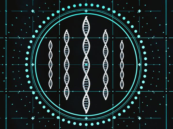 DNA合成技术突破:Sidewinder大幅缩短基因序列构建时间