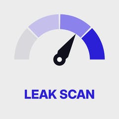 The Profit Leak Scan
