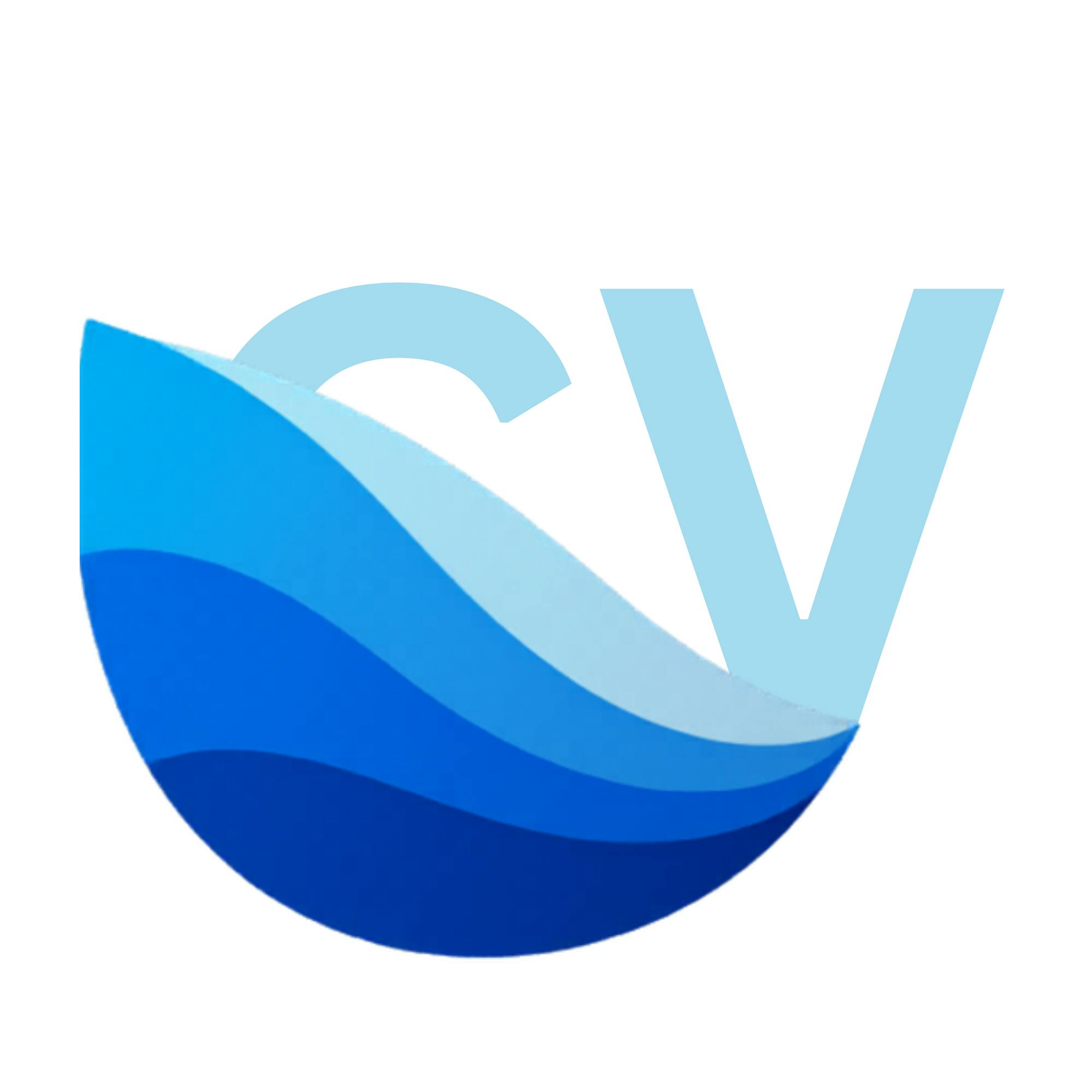 CVboosta