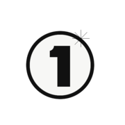 NS1