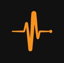 BitPulse.digital
