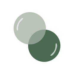 Soap Notes