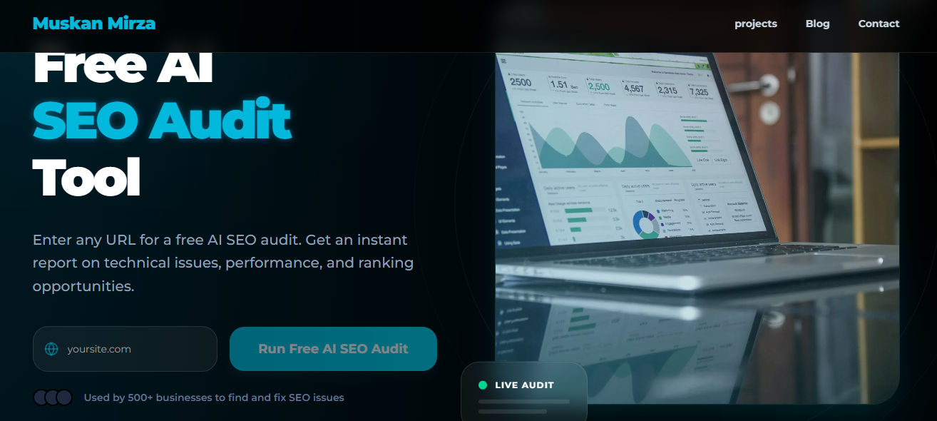 Website Audit Tool