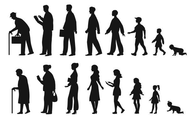 Age Calculator