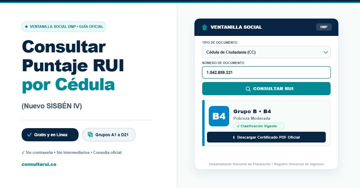 Consulta RUI
