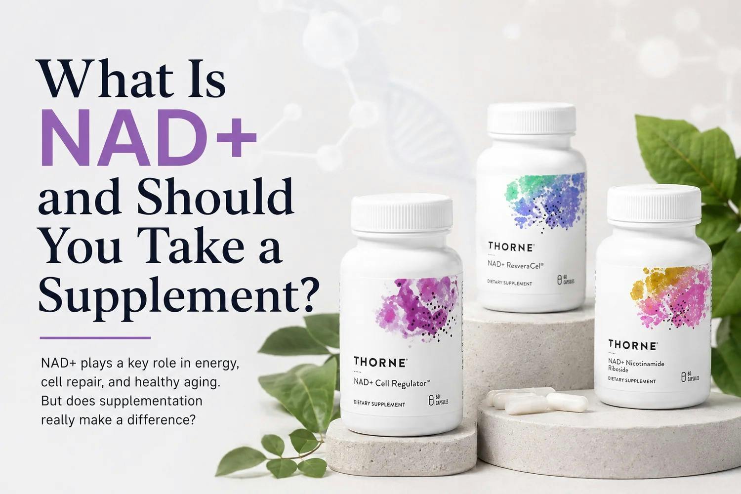 HCRC Wellness Co