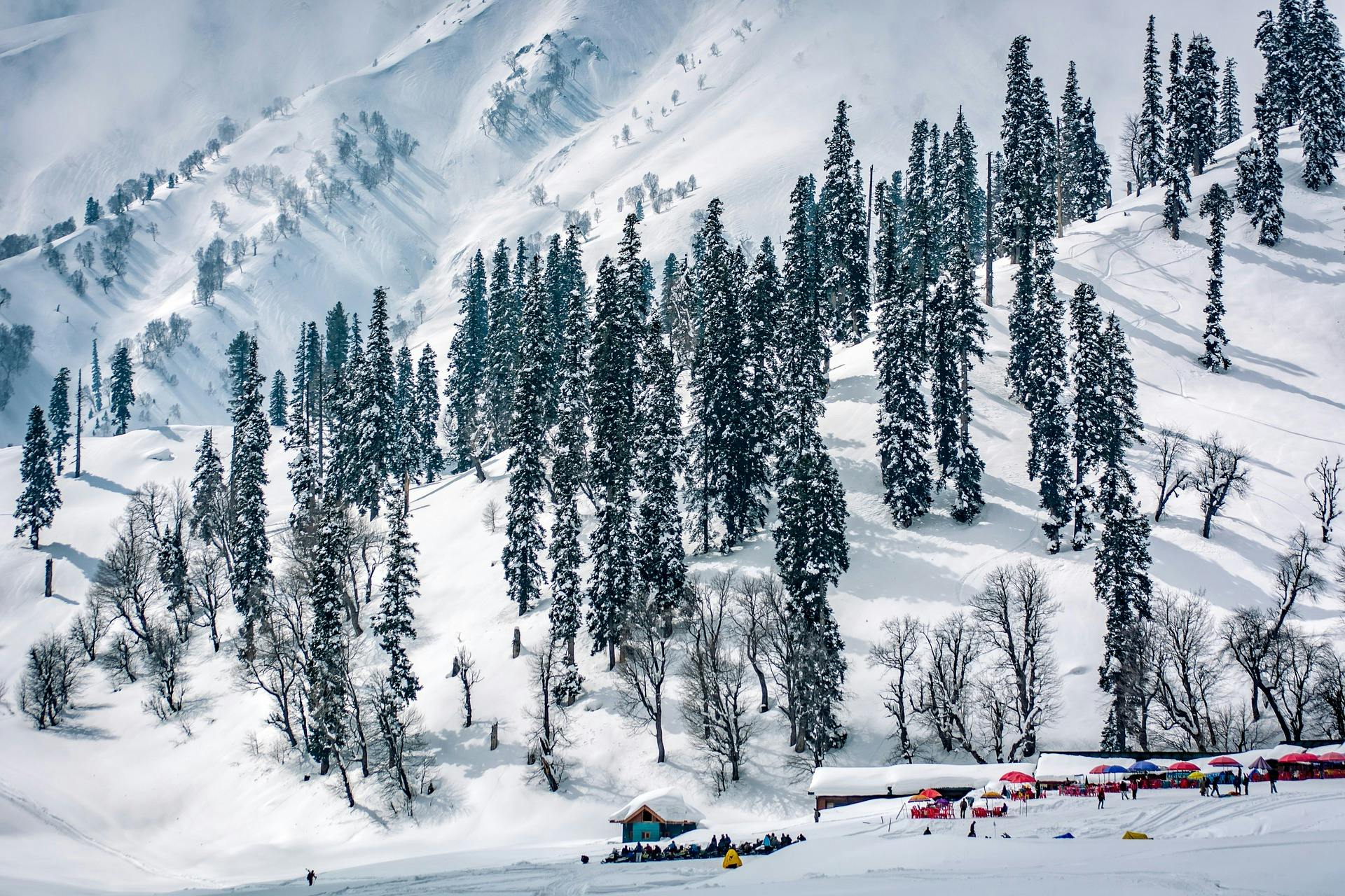 Gulmarg Gondola Ticket Booking Portal