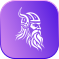 Viking Marketing