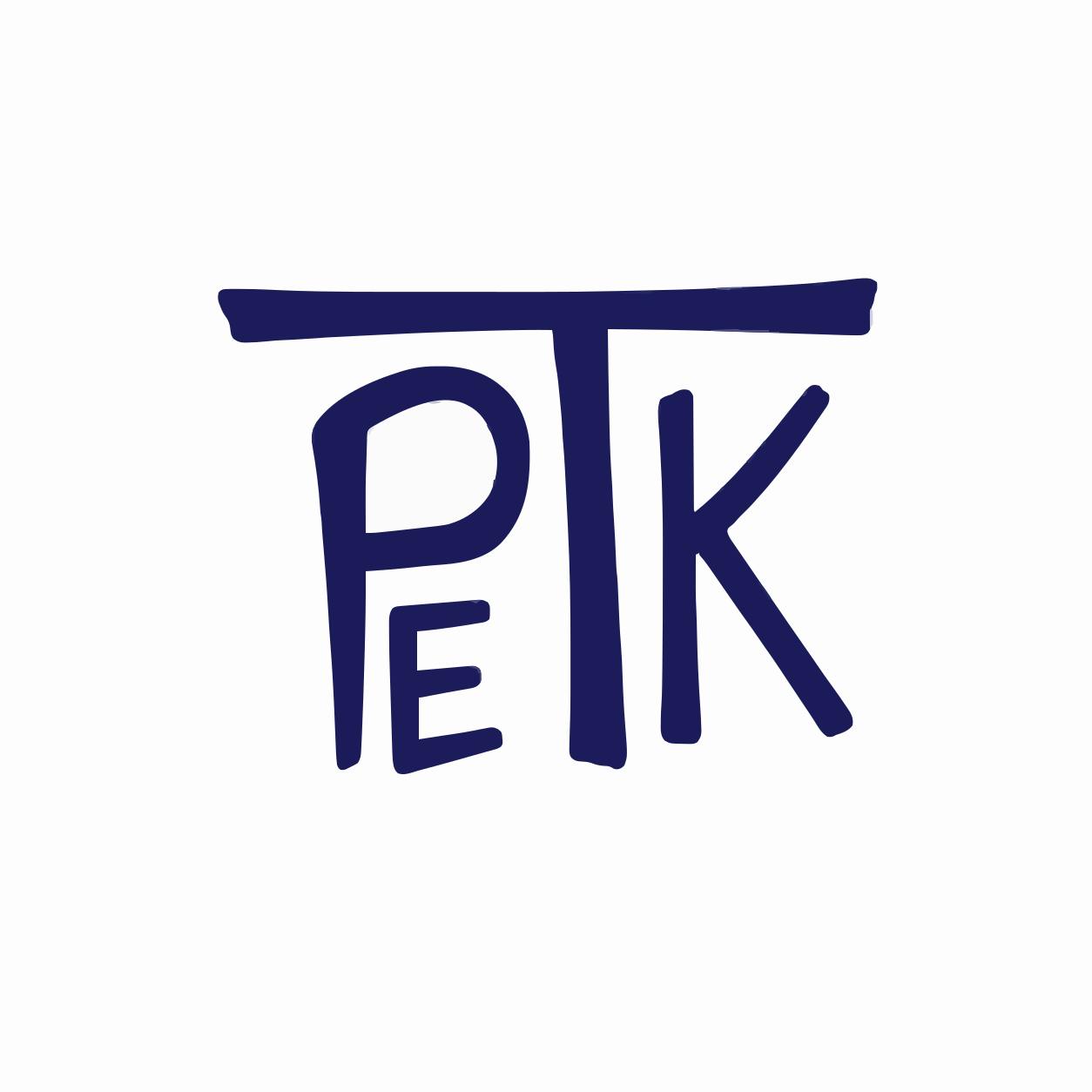 Pe Tech Knowledge — NSE Stock Research