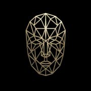 Face Matrix