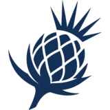 Thistle