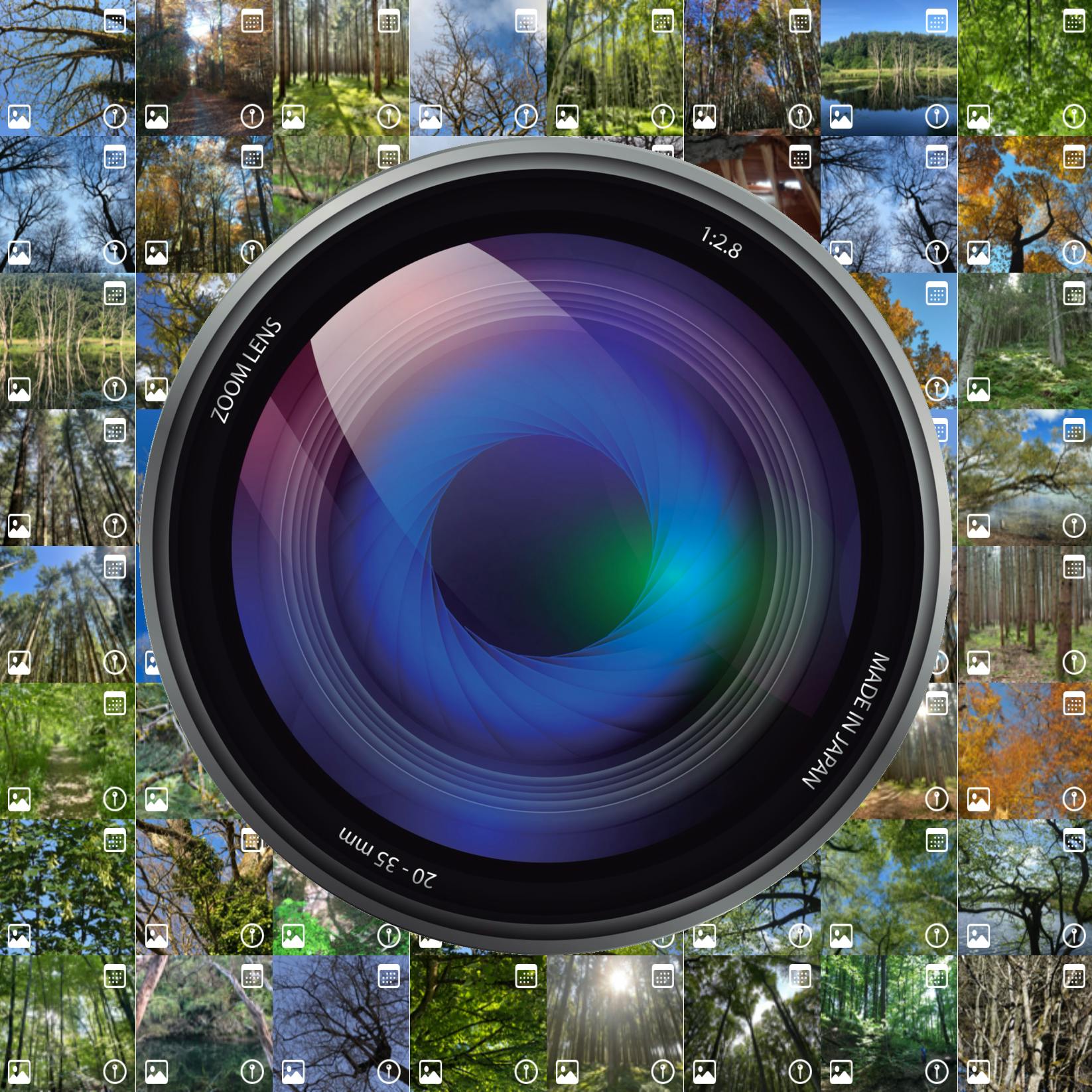 My photos (19.0)