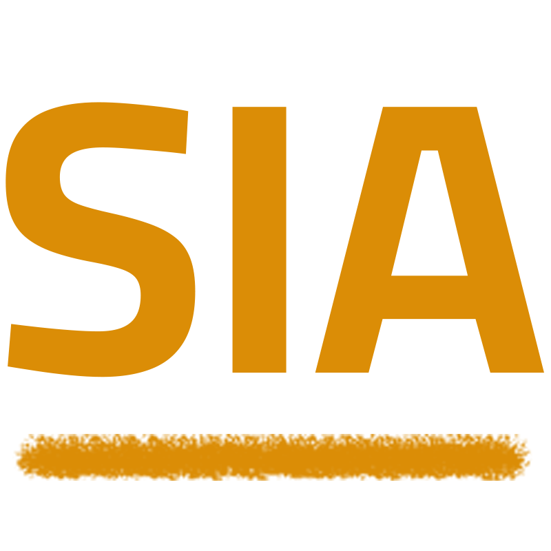 Software Implementation Academy