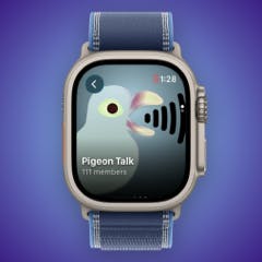 Telegram Voice Calls on Apple Watch