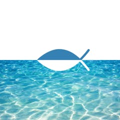 NexBible
