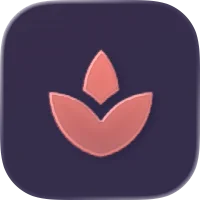 SakuStocks