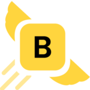 BricksFly