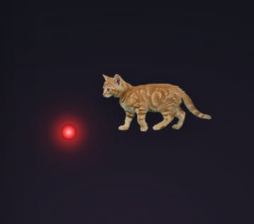 CursorCat