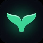 WhaleScoop