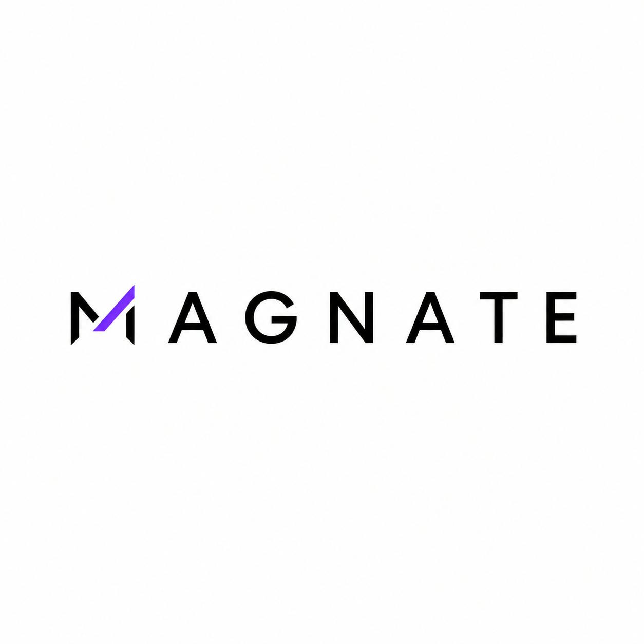Magnate screenshot